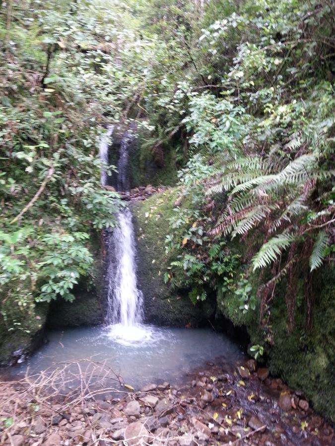 Bed and Breakfast Kotare Ridge Waihi Exterior foto